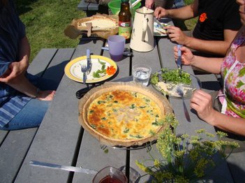 Stages,cours Cuisine plantes sauvages printemps