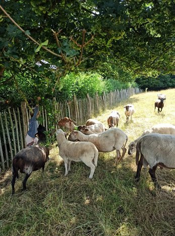 Stages,cours Stage la Ferme