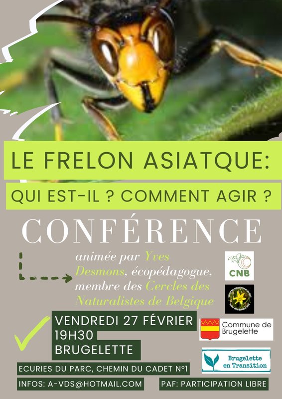 Conférences Le Frelon asiatique: est-il ? Comment agir?