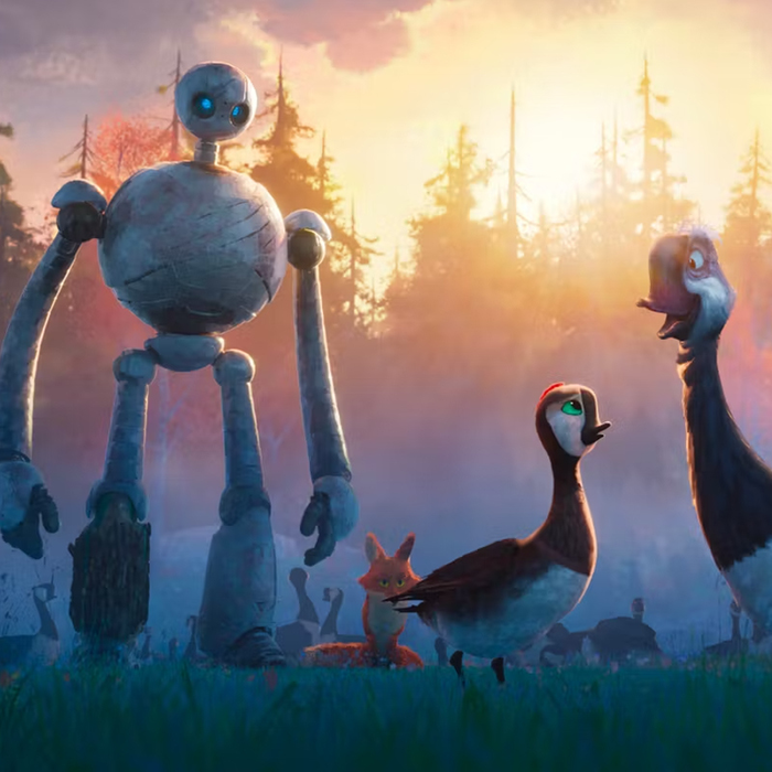 Spectacles Cinéma - Robot Sauvage