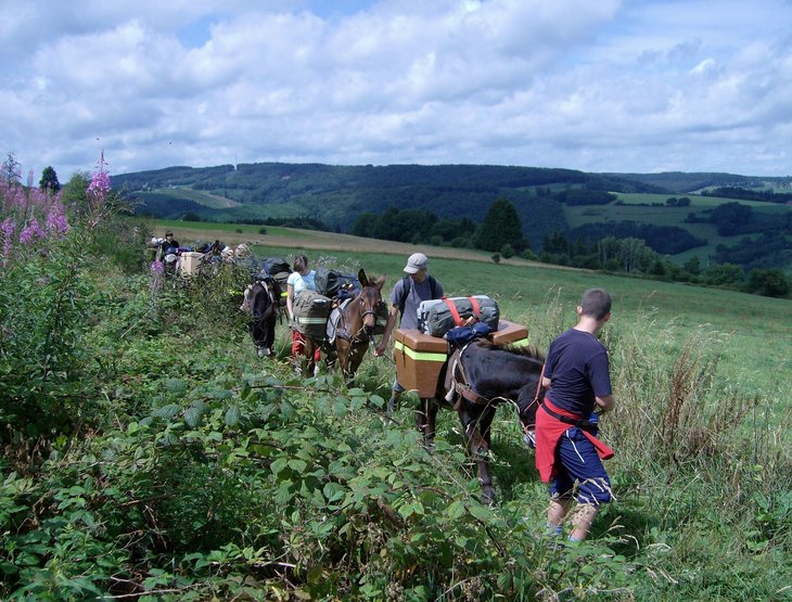 Stages,cours Randonnée avec ânes bâtés pour adolescents