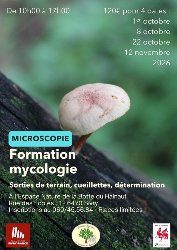 Stages,cours Mycologie : formation microscopie