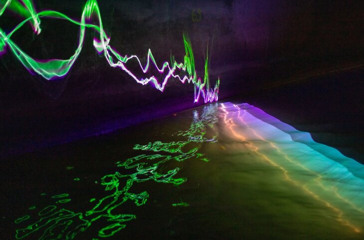 Expositions Back Senne