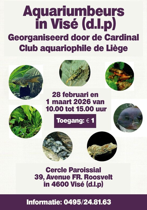 Loisirs Bourse aquariophile