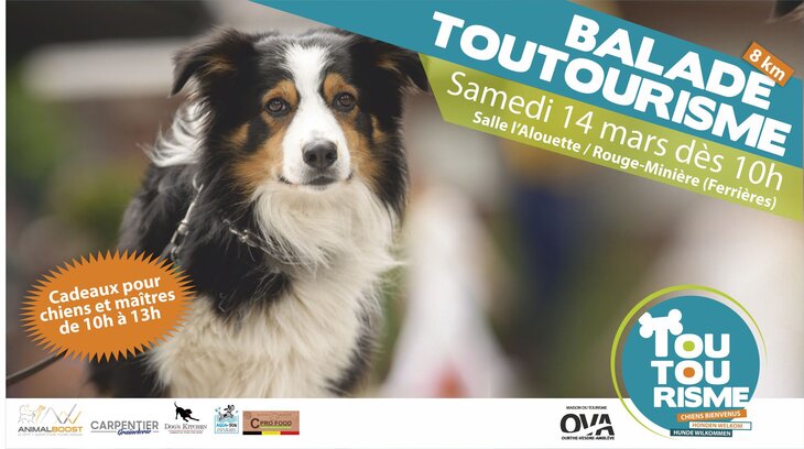 Loisirs Toutourisme: Balade avec votre chien