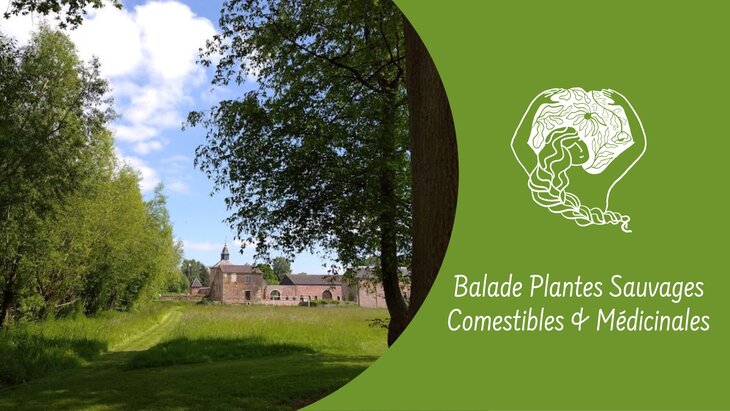 Loisirs Balade Plantes sauvages Comestibles médicinales