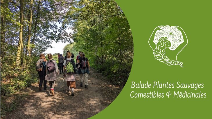 Loisirs Balade Plantes Sauvages Comestibles Médicinales