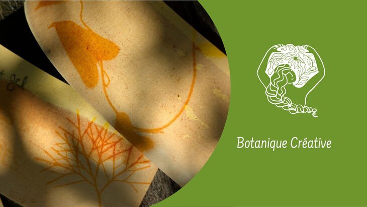 Stages,cours Botanique créative