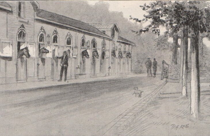 Expositions L histoire fascinante cheval .