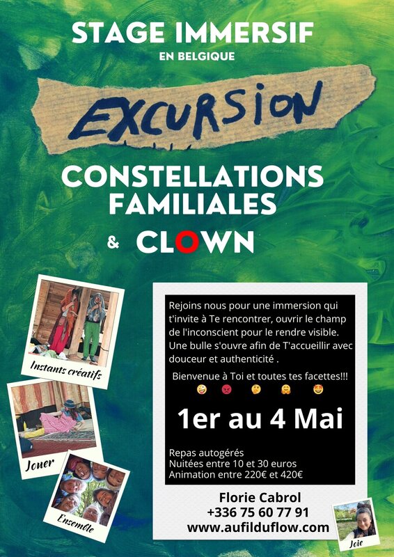 Stages,cours Excursion - Constellations familiales Clown (niveau 1)