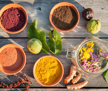 Stages,cours Atelier Plantes tinctoriales