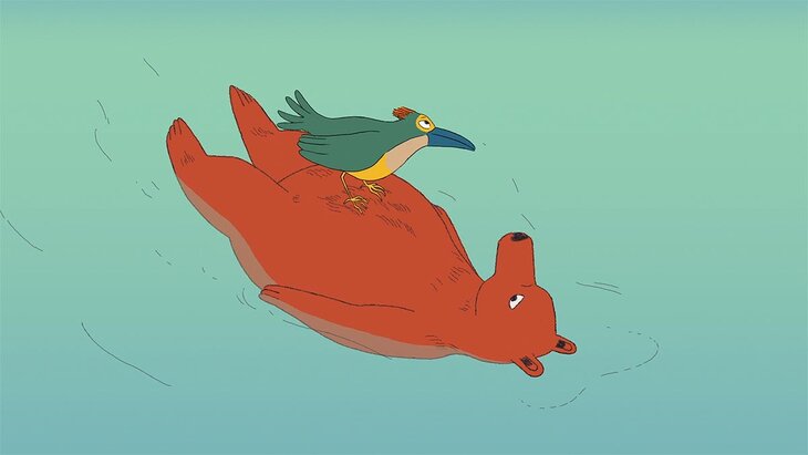 Conférences Projection sensibilisation la nature Natagora Cœur Walonie