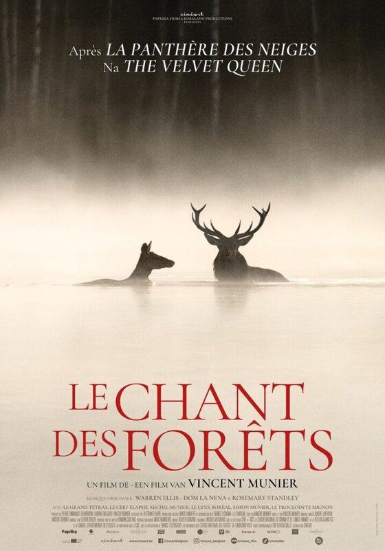 Spectacles  Le Chant Forêts  Vincent Munier