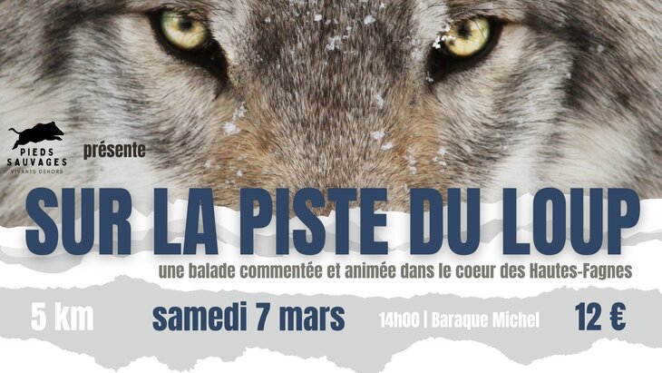 Loisirs Sur piste loup