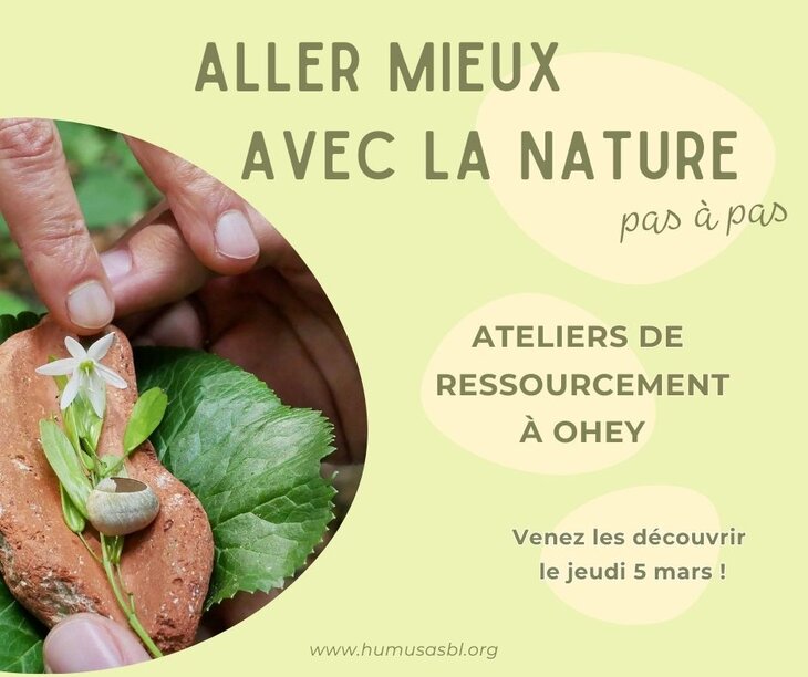 Stages,cours Ateliers ressourcement nature - Matinée découverte