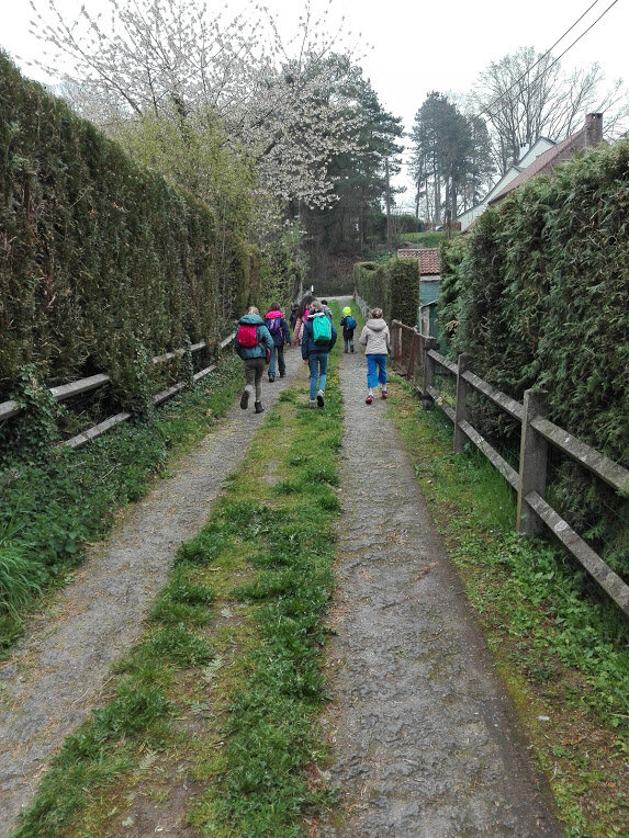 Stages,cours Nature & Art