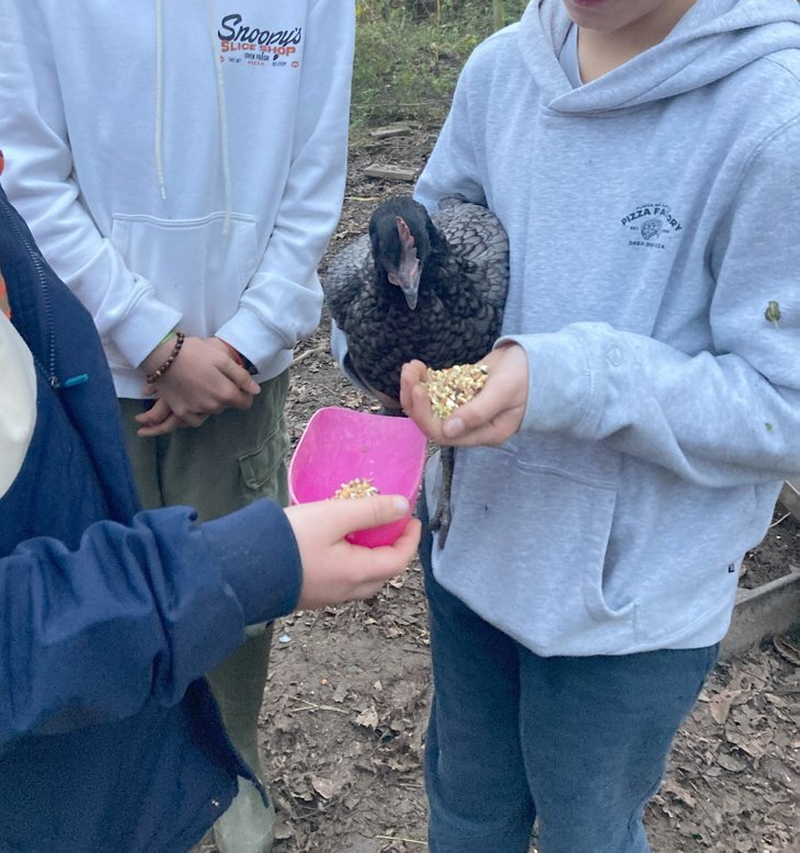 Stages,cours Nature & Art