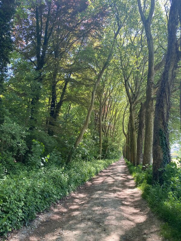 Loisirs Promenade Gastuche abords Bois Laurensart