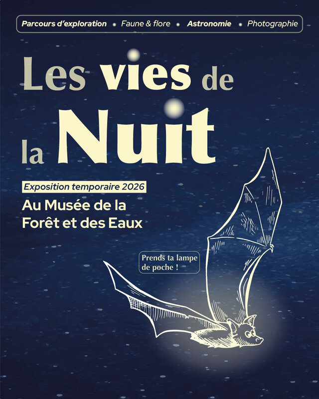 Loisirs Nouvelle expo temporaire -  Les vies la Nuit 