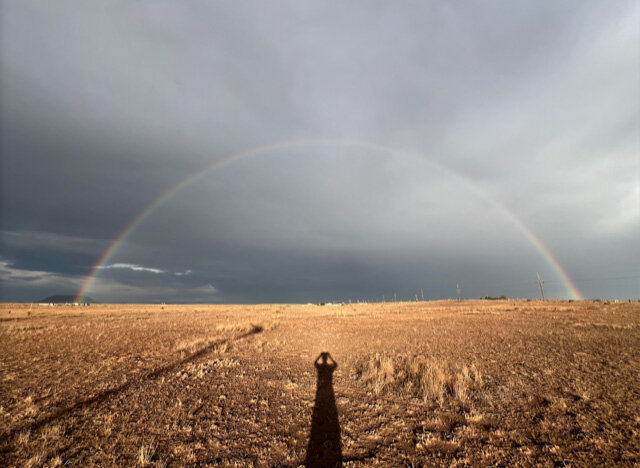 Conférences Conversation : Fabrice Hyber, Honoré δ’O Denis Gielen