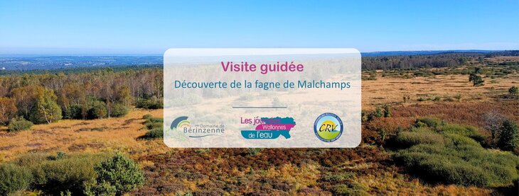 Loisirs Visite guidée : Découverte la fagne Malchamps