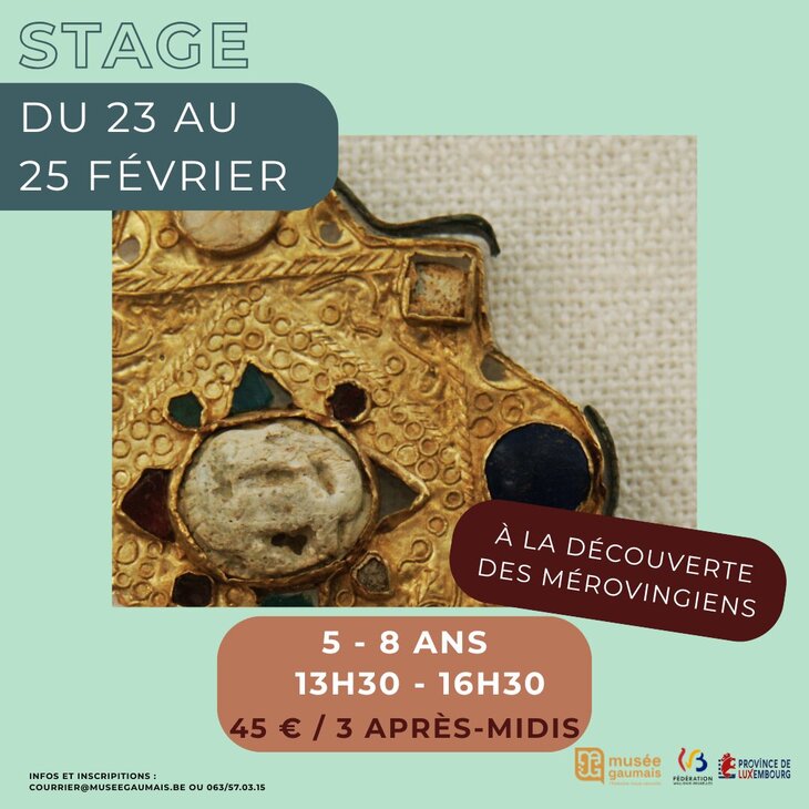 Stages,cours Stage - la découverte Mérovingiens