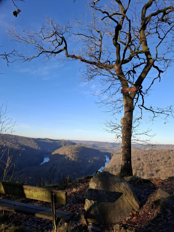 Loisirs Les grands prédateurs