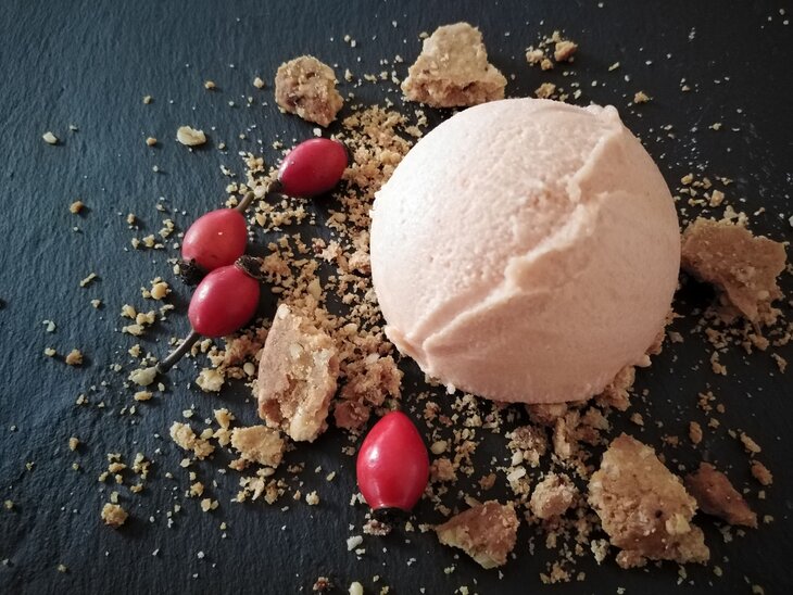 Stages,cours Atelier cuisine  Glaces & sorbets plantes sauvages 