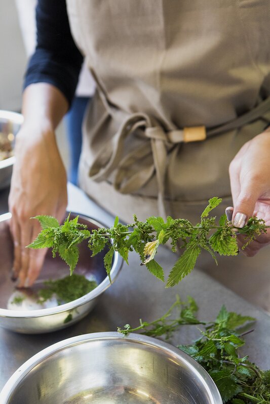 Stages,cours Atelier cuisine  Orties & fausses orties 