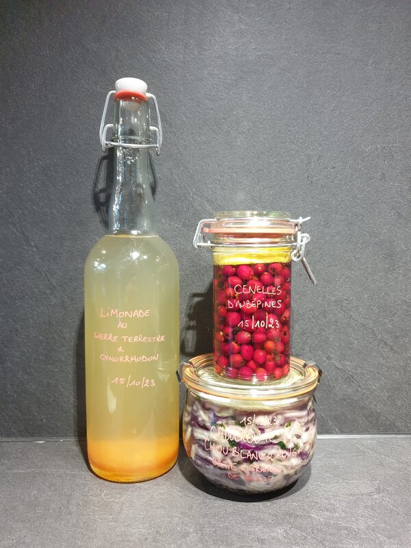 Stages,cours Atelier cuisine  Conservation & lactofermentation 