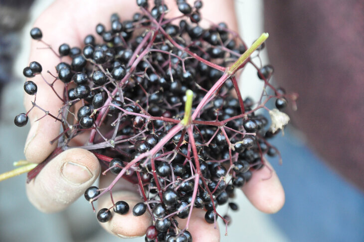 Stages,cours Atelier cuisine  Tout le sureau 