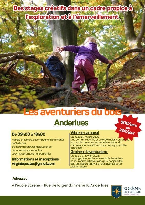 Stages,cours Stage aventuriers bois
