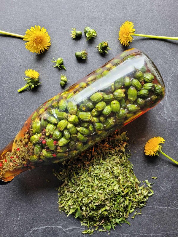 Stages,cours Atelier cuisine  Conservation & lactofermentation 