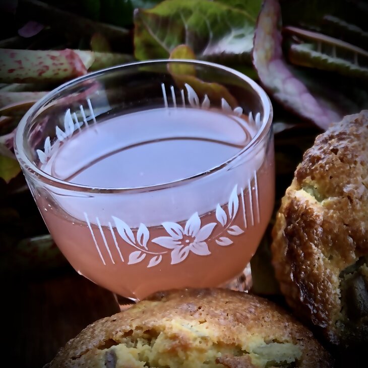 Loisirs Balade  Breuvages sauvages 