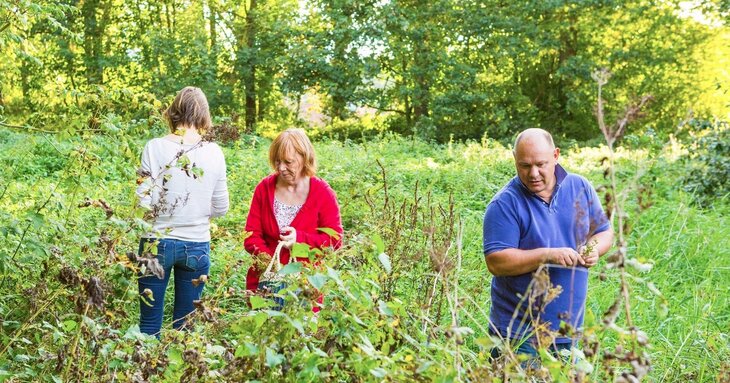 Loisirs Balade  Familles botaniques 