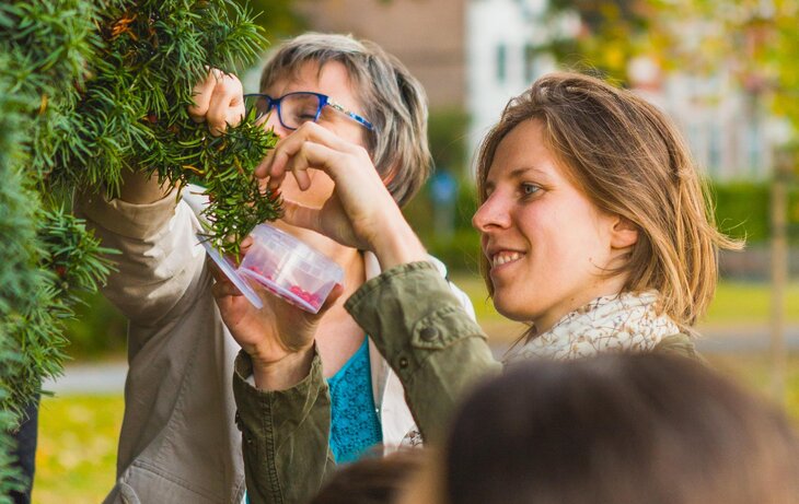 Loisirs Balade  Plantes épices 
