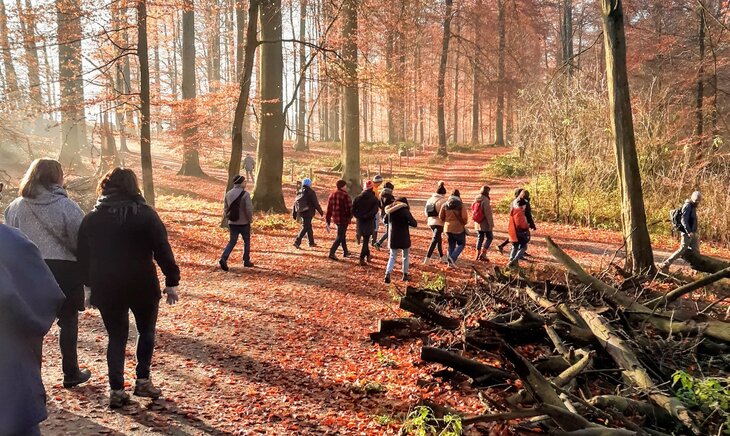 Loisirs Balade  Plantes d automne 