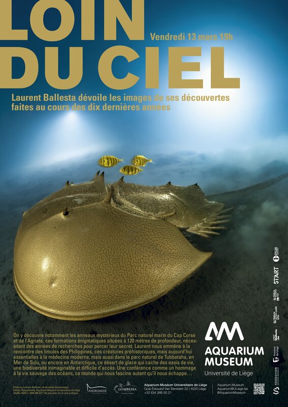 Conférences Loin Ciel - Conférence avec Laurent Ballesta