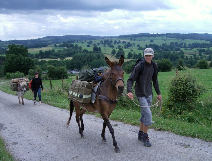 Stages,cours Randonnée avec ânes bâtés pour enfants ados