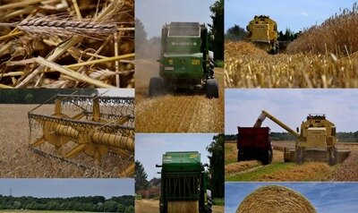 Expositions Exposition An ferme Jean-Patrick Martinet