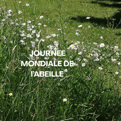 Conférences Journée Mondiale l abeille