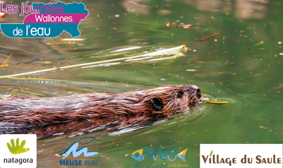 Expositions Exposition - Castor Vie rive, de rêves ? »