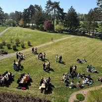 Stages,cours Initiation découverte soins verts : module Interculturalité inclusion