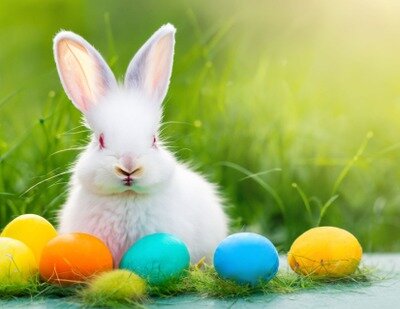 Loisirs Chasse œufs