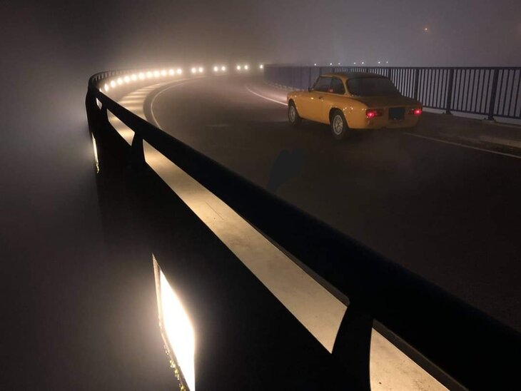 Loisirs Balade Lions, Tournesols