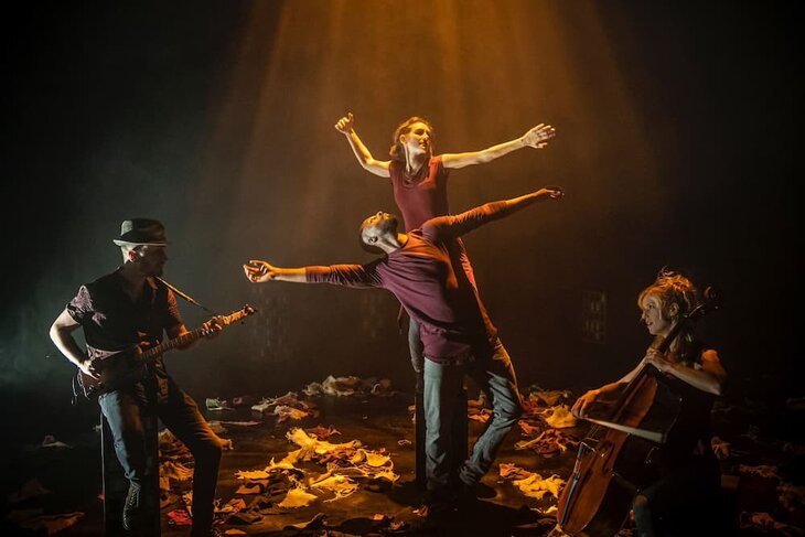 Spectacles Coquelicot