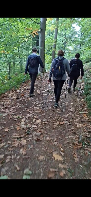 Stages,cours Cours Marche Nordique