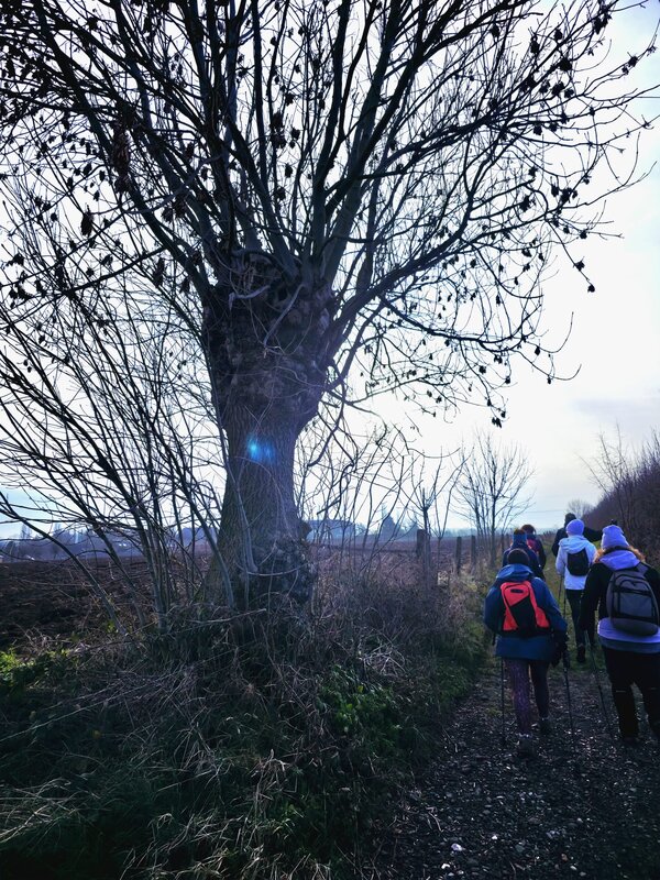 Stages,cours Marche Nordique