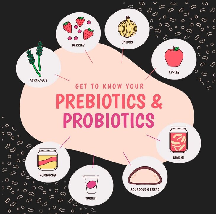 Stages,cours Initiation pré probiotiques