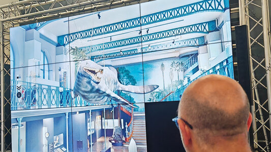 Loisirs Visite virtuelle commentée - Visite Musée d’histoire naturelle !